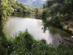 Green World Ecological Farm