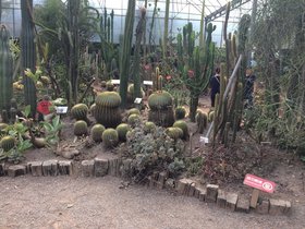 IMG_7404.JPG