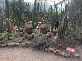 IMG_7405.JPG