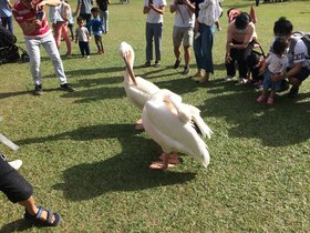 IMG_7433.JPG