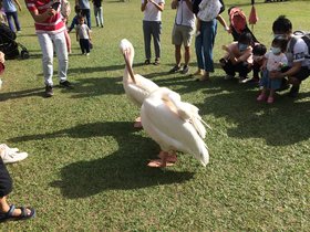 IMG_7434.JPG