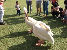 IMG_7436.JPG