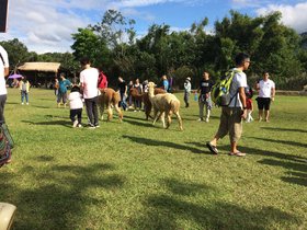 IMG_7439.JPG