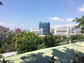 IMG_0803.JPG