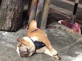 IMG_0006.JPG