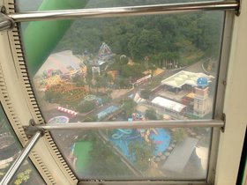 IMG_9973.JPG