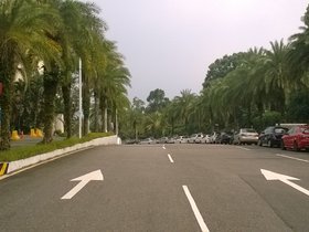 WP_20170923_13_37_25_Pro.jpg