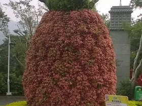 WP_20170923_13_51_26_Pro.jpg