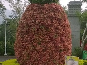 WP_20170923_13_51_29_Pro.jpg