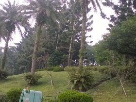 WP_20170923_13_51_37_Pro.jpg