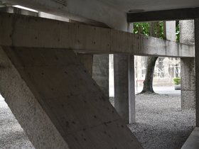 DSC_1543.JPG