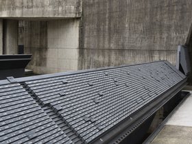 DSC_1555.JPG