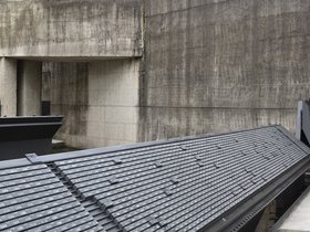 DSC_1556.JPG