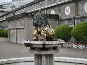 DSC_1569.JPG