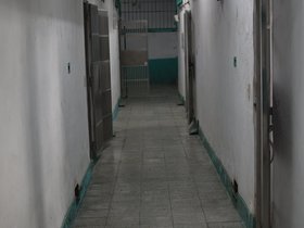 DSC_1587.JPG