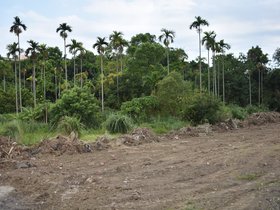 DSC_1595.JPG