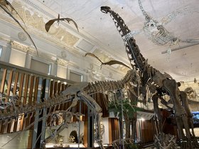 IMG_0877.JPG