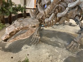 IMG_0881.JPG