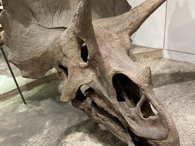 IMG_0884.JPG