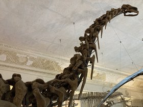IMG_0887.JPG