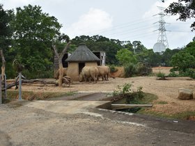 DSC_5575.JPG