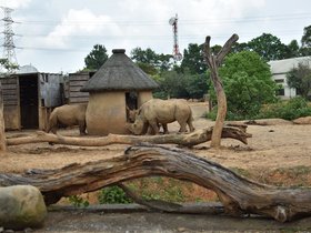 DSC_5576.JPG