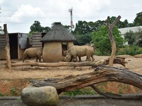 DSC_5577.JPG