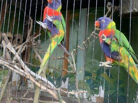 IMG_2532.JPG