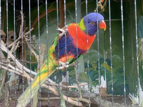 IMG_2533.JPG