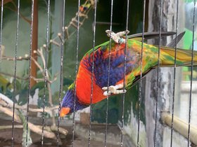 IMG_2534.JPG
