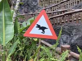 IMG_4134.JPG