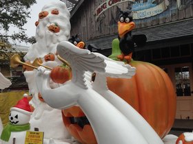 IMG_7780.JPG