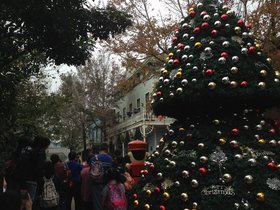 IMG_7781.JPG