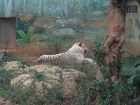 IMG_7793.JPG
