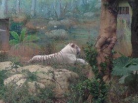 IMG_7794.JPG