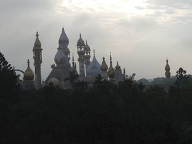 IMG_7802.JPG