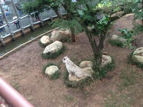 IMG_7812.JPG