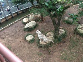 IMG_7813.JPG