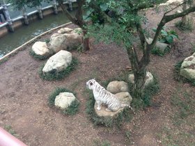 IMG_7814.JPG