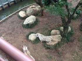 IMG_7815.JPG