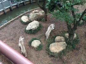 IMG_7816.JPG