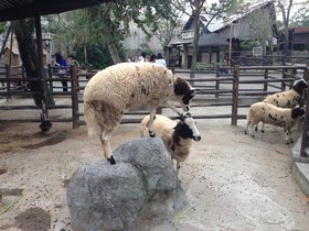 IMG_7820.JPG