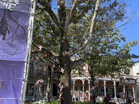 IMG_8575.jpg