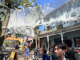 IMG_8593.jpg