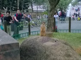 WP_20161204_15_58_56_Pro.jpg