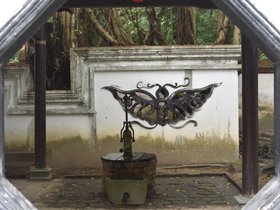 DSC_1035.JPG