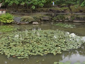 DSC_1090.JPG