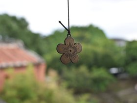 DSC_1108.JPG
