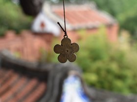 DSC_1110.JPG