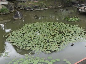 DSC_1113.JPG